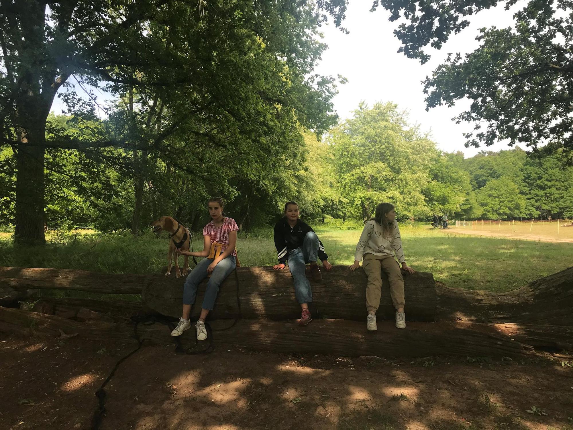KinderWanderHund_rei