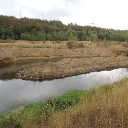 Erft Dürre August 2018