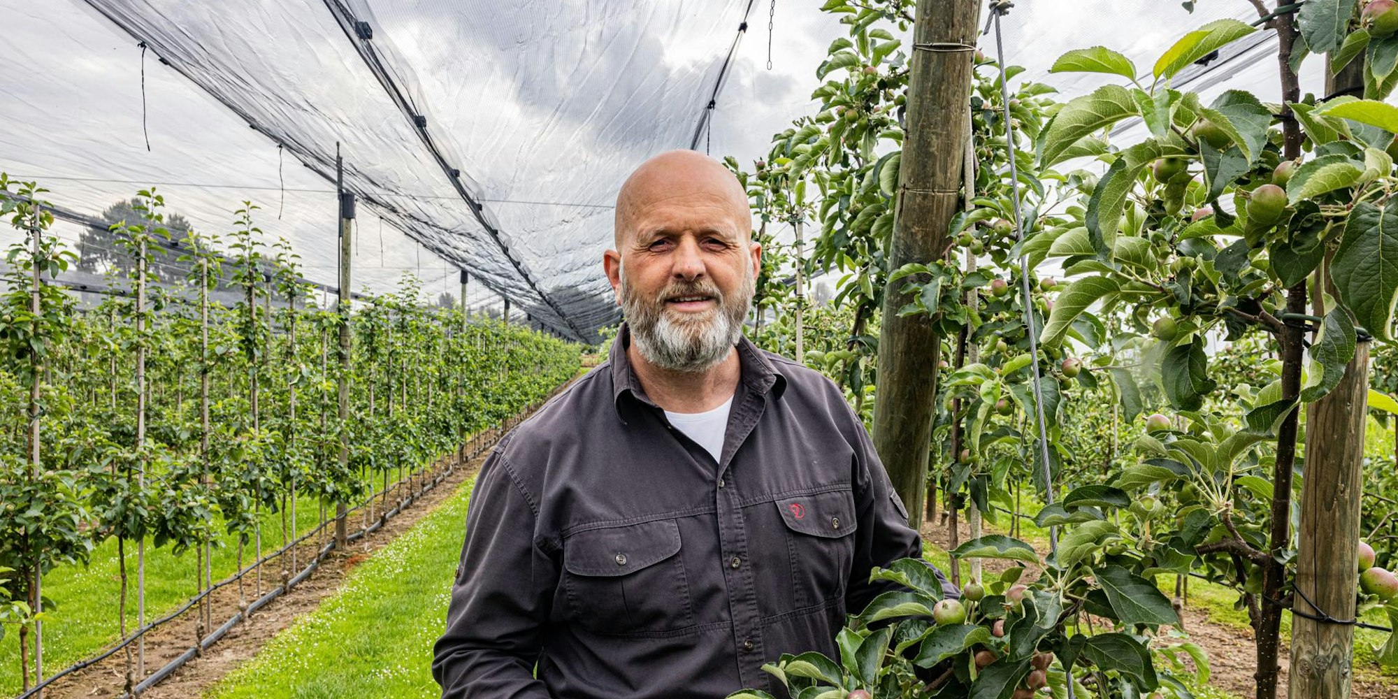 Roland Schmitz-Hübsch in Bornheim
