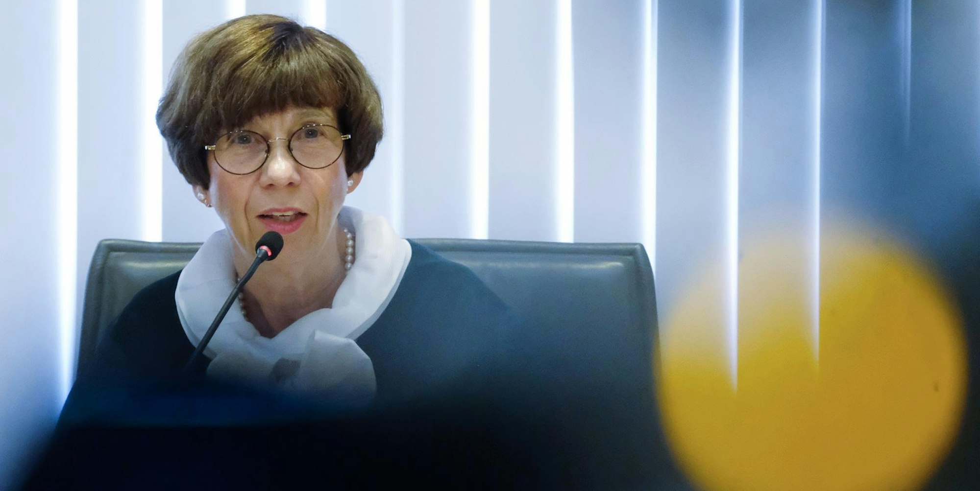 AfD Sachsen Verfassungsgericht