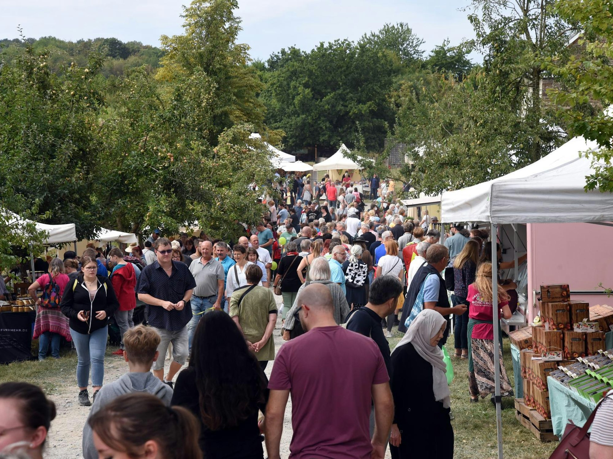 20220828_ds_FreilichtmuseumLindlar_Bauernmarkt22
