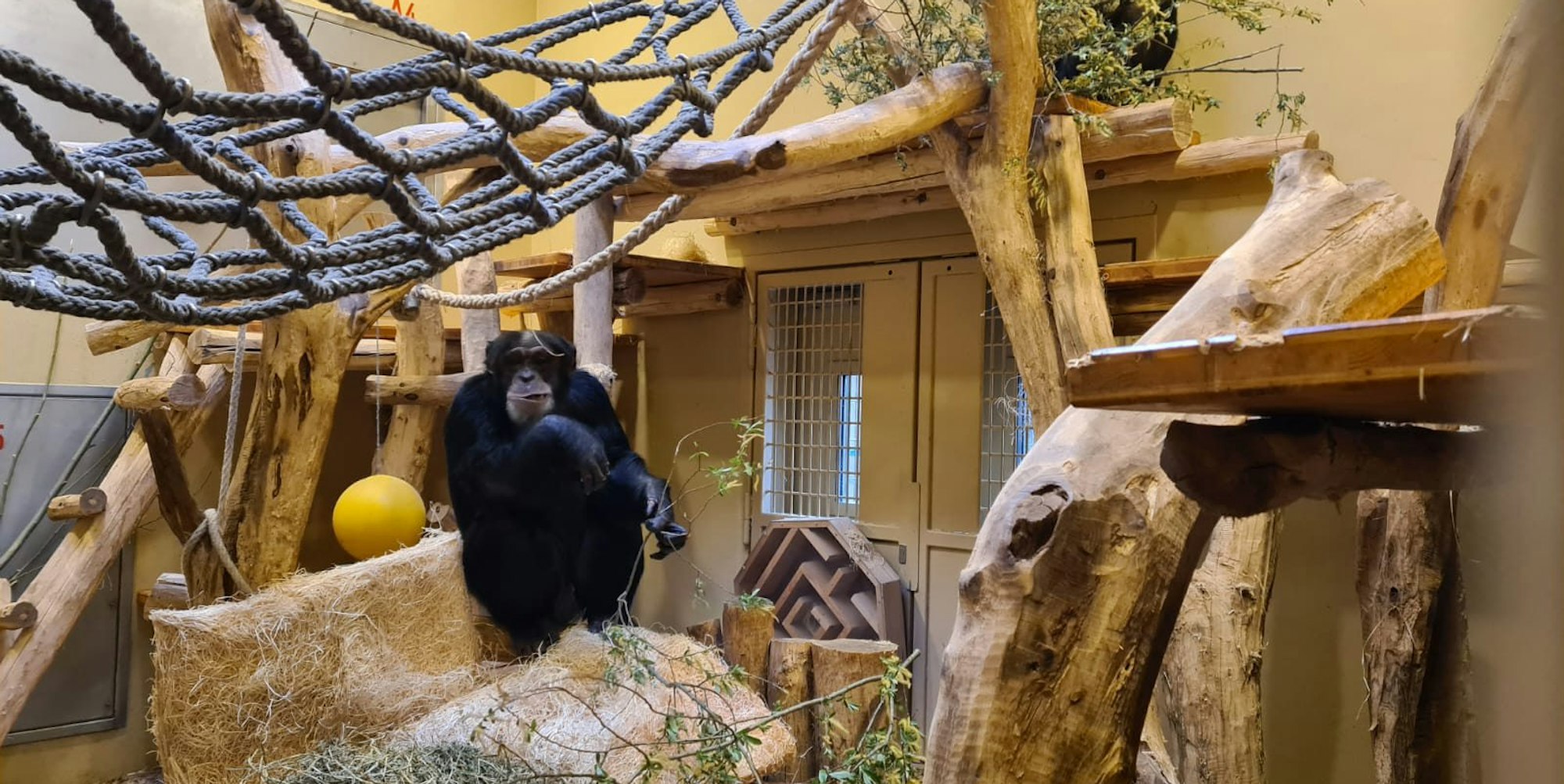 Krefeld Affengehege neu 240522