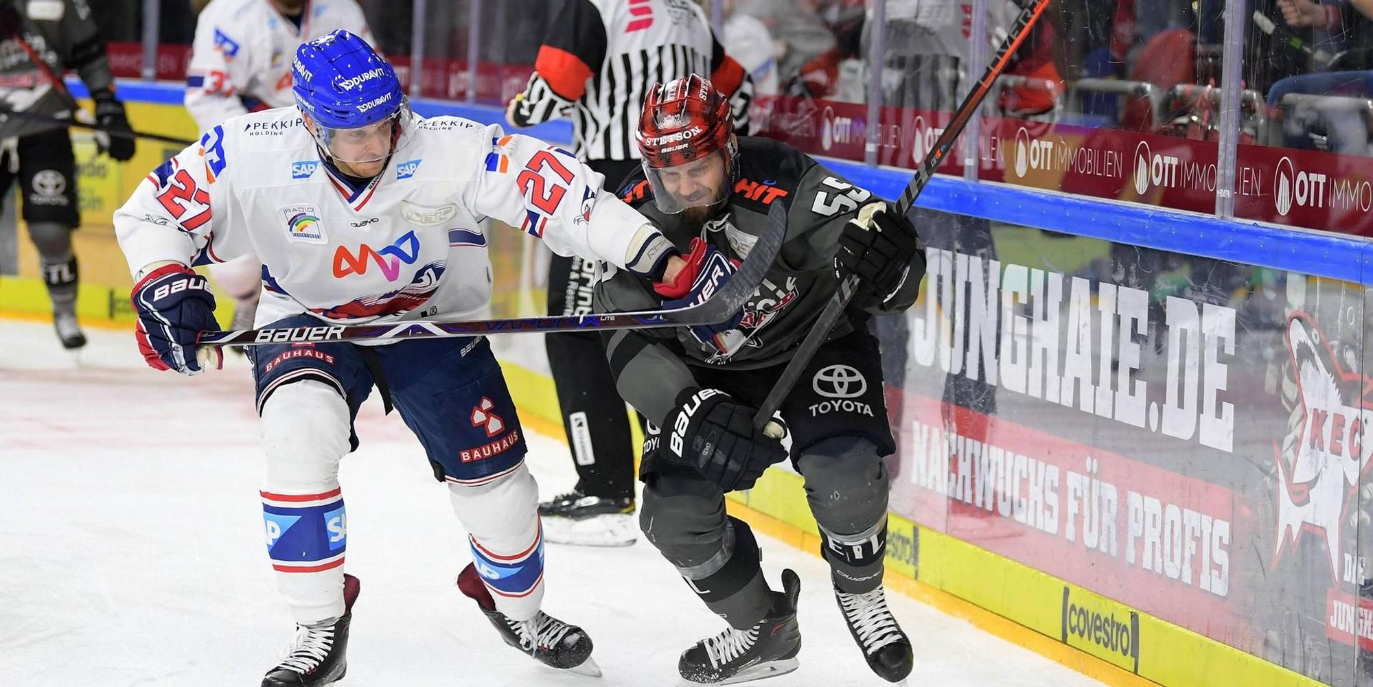 Kölner Haie gegen Mannheim