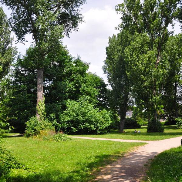 KW_LT_Rueckschnitt_Hans_Grosz_Park_