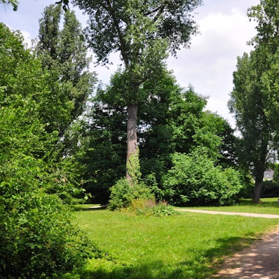 KW_LT_Rueckschnitt_Hans_Grosz_Park_