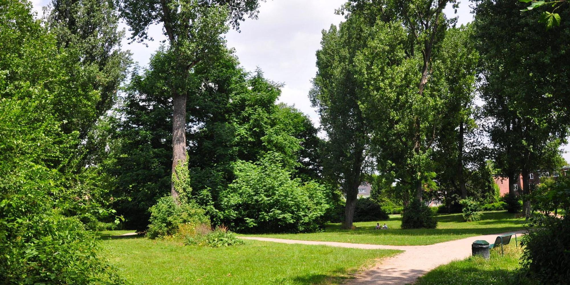 KW_LT_Rueckschnitt_Hans_Grosz_Park_