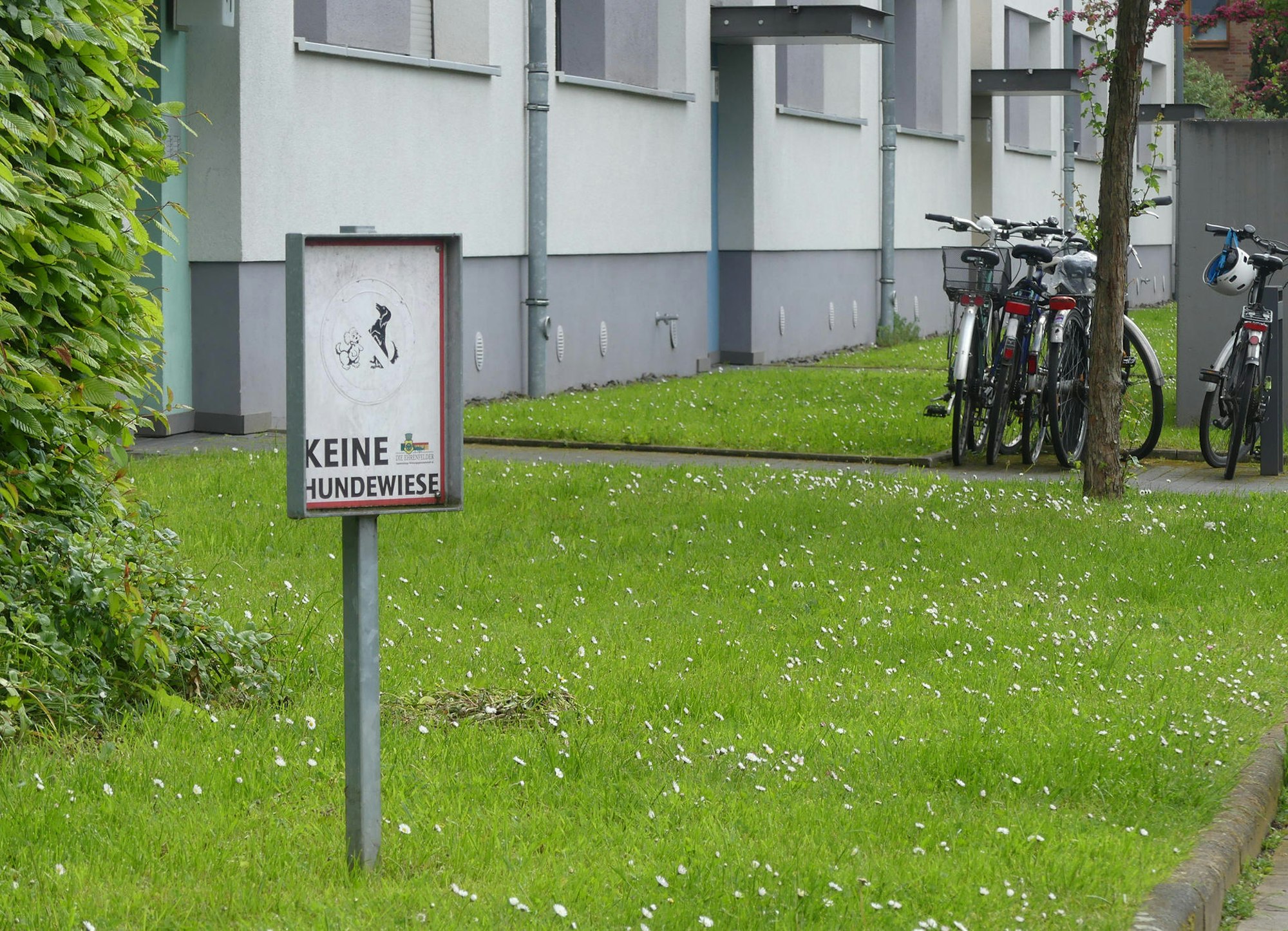 roes-lenauplatz-pipi-001