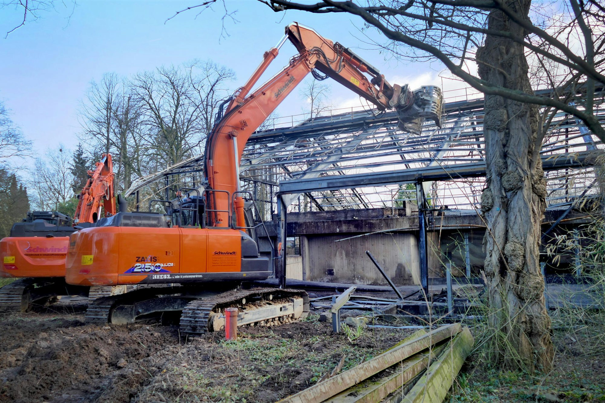 Affenhaus Krefeld Zoo 2020