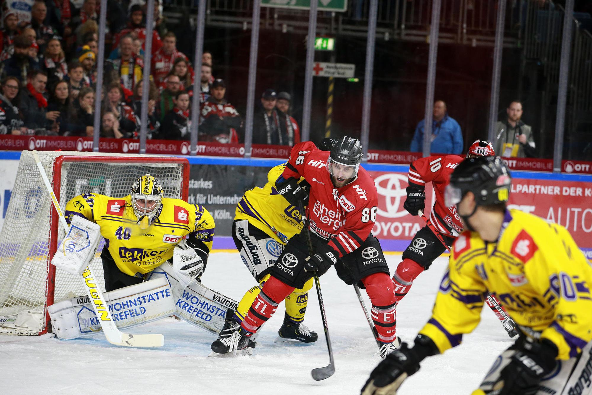 Haie Krefeld2
