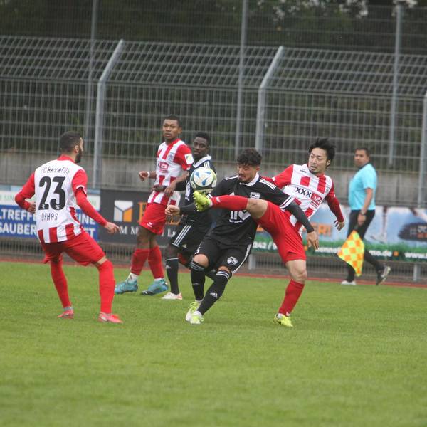 Neuer Inhalt