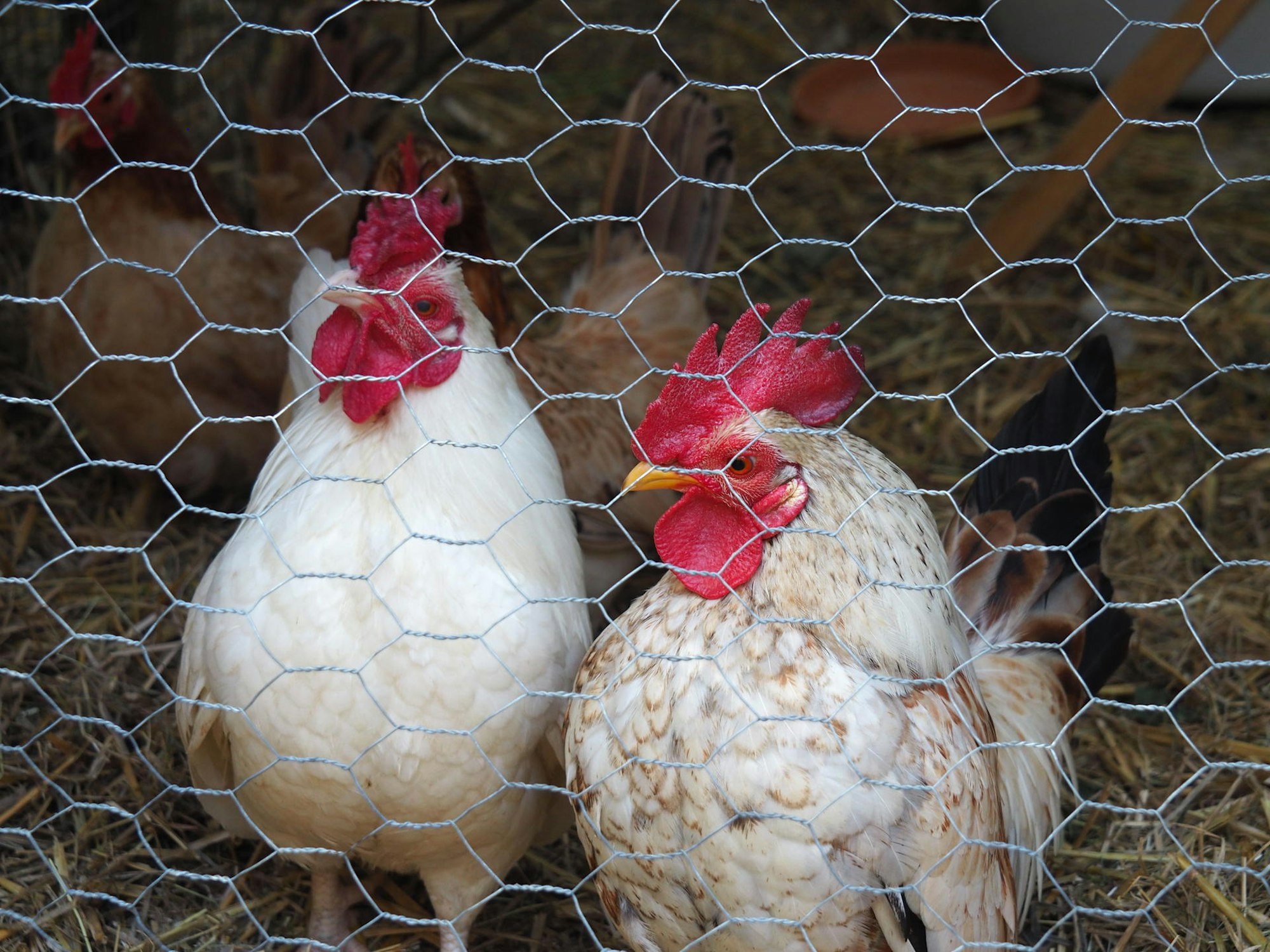 Naturschule4