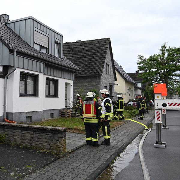 Neuer Inhalt