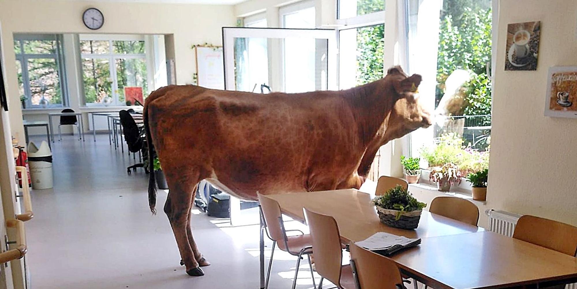 Neuer Inhalt