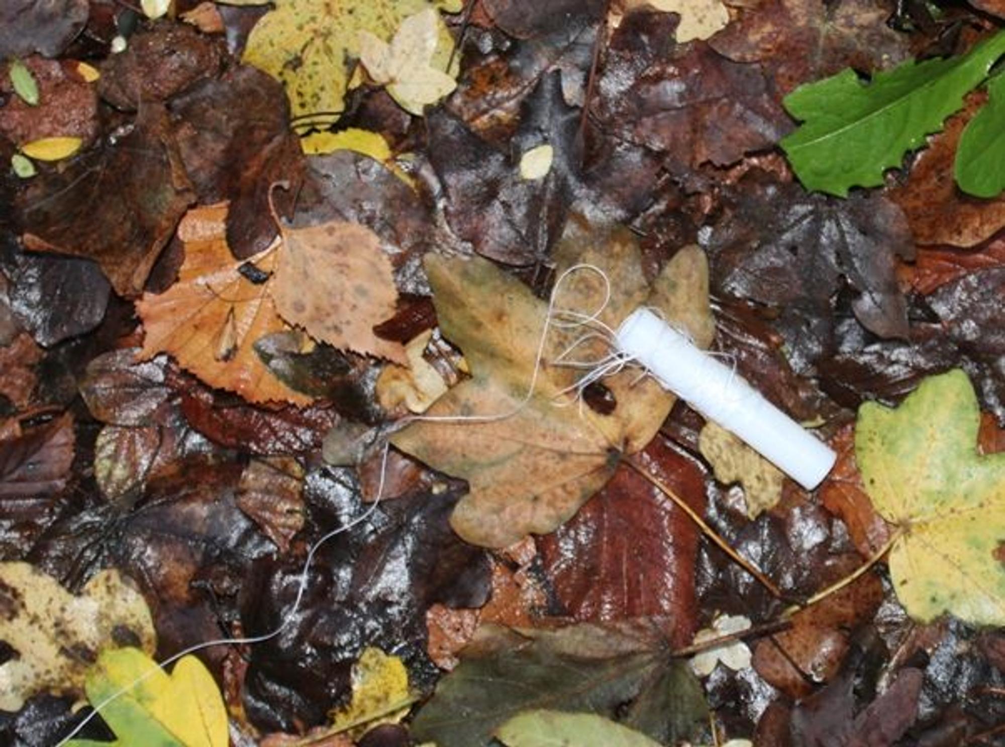 Nylon_Schnur_Unfall