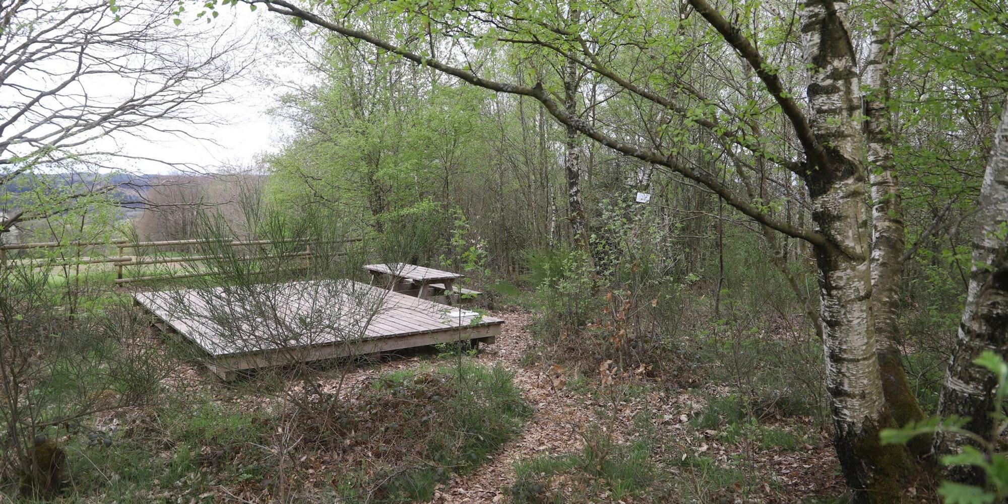 Eifel_Trekking_Herhahn_1
