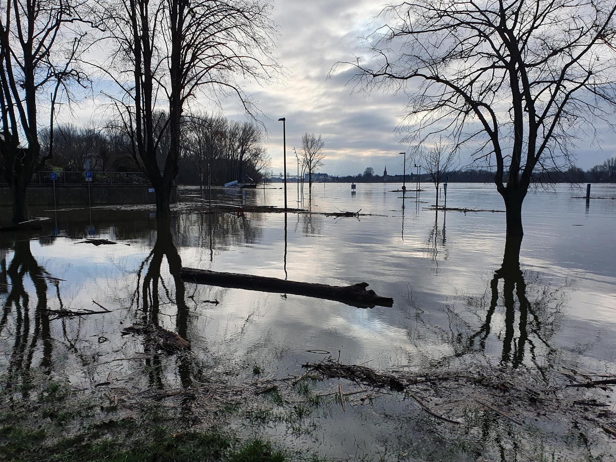 Hochwasser Niederkassel 3 010221