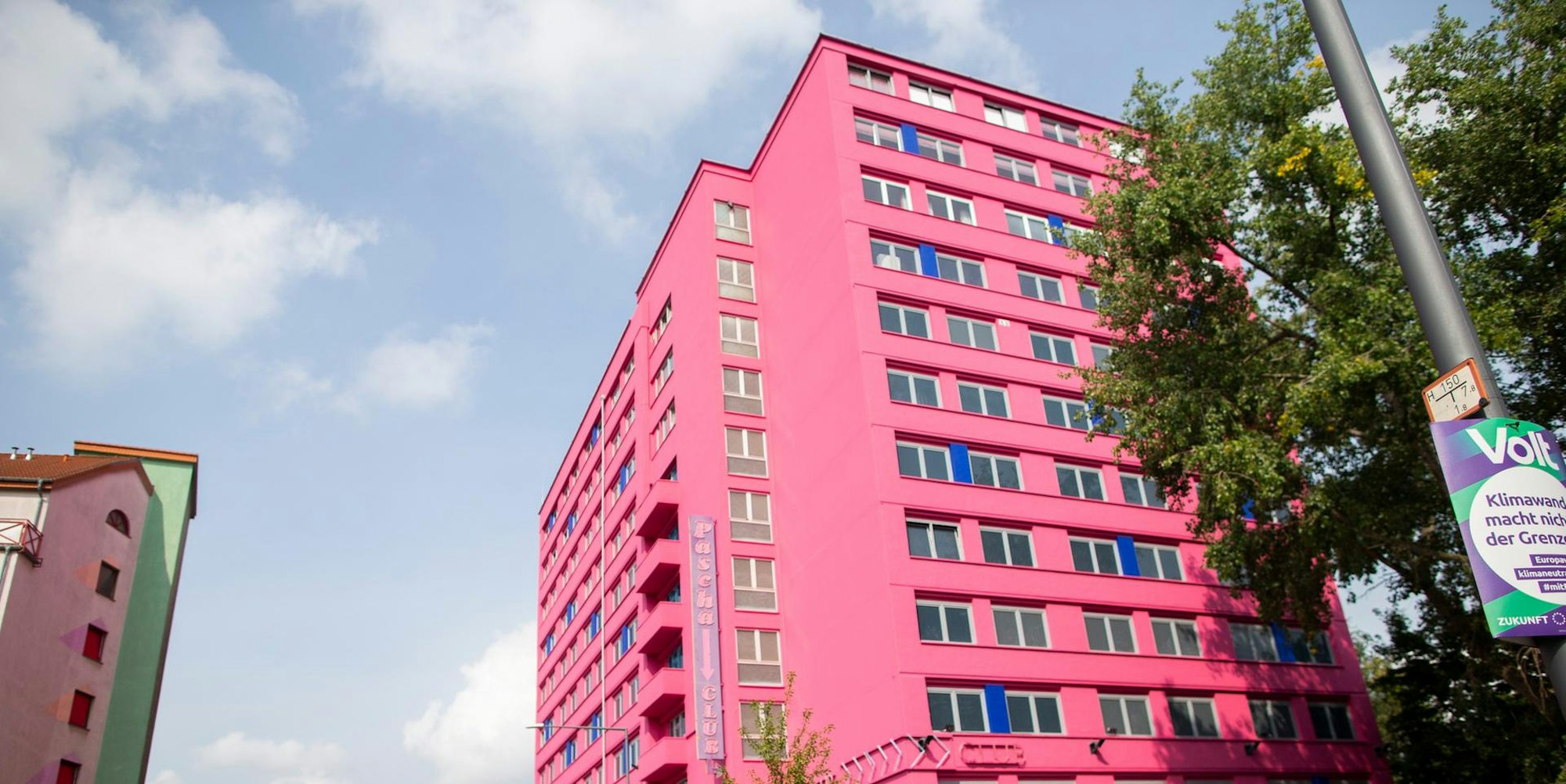Pascha in pink