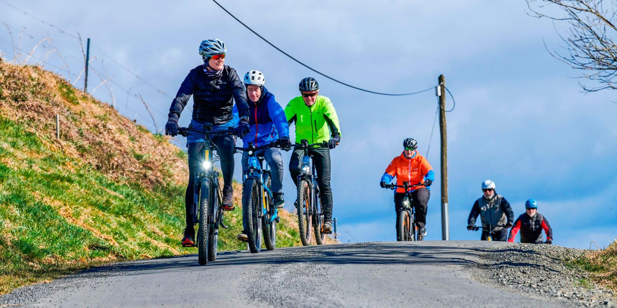 E-Bikes im Test