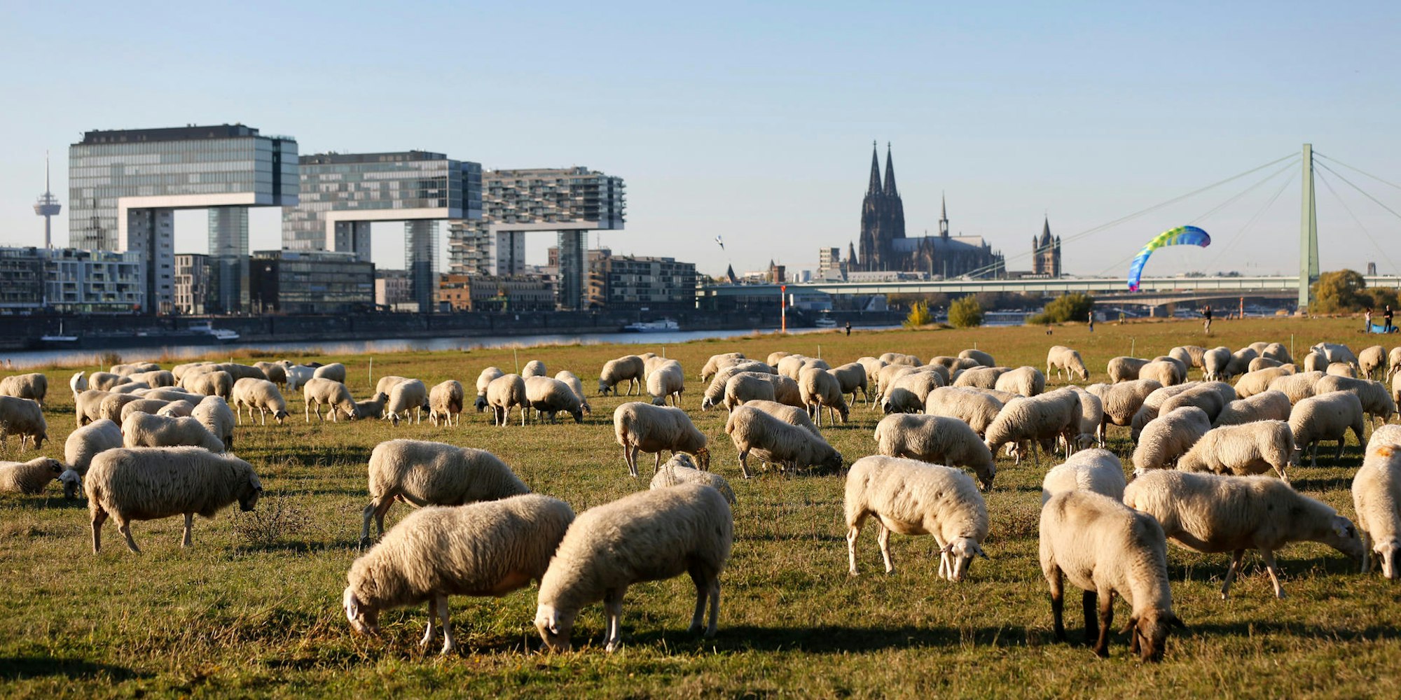 Köln-Postkarte
