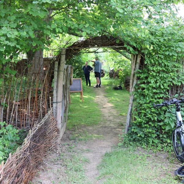Garten-TRO-Klaßen_4381