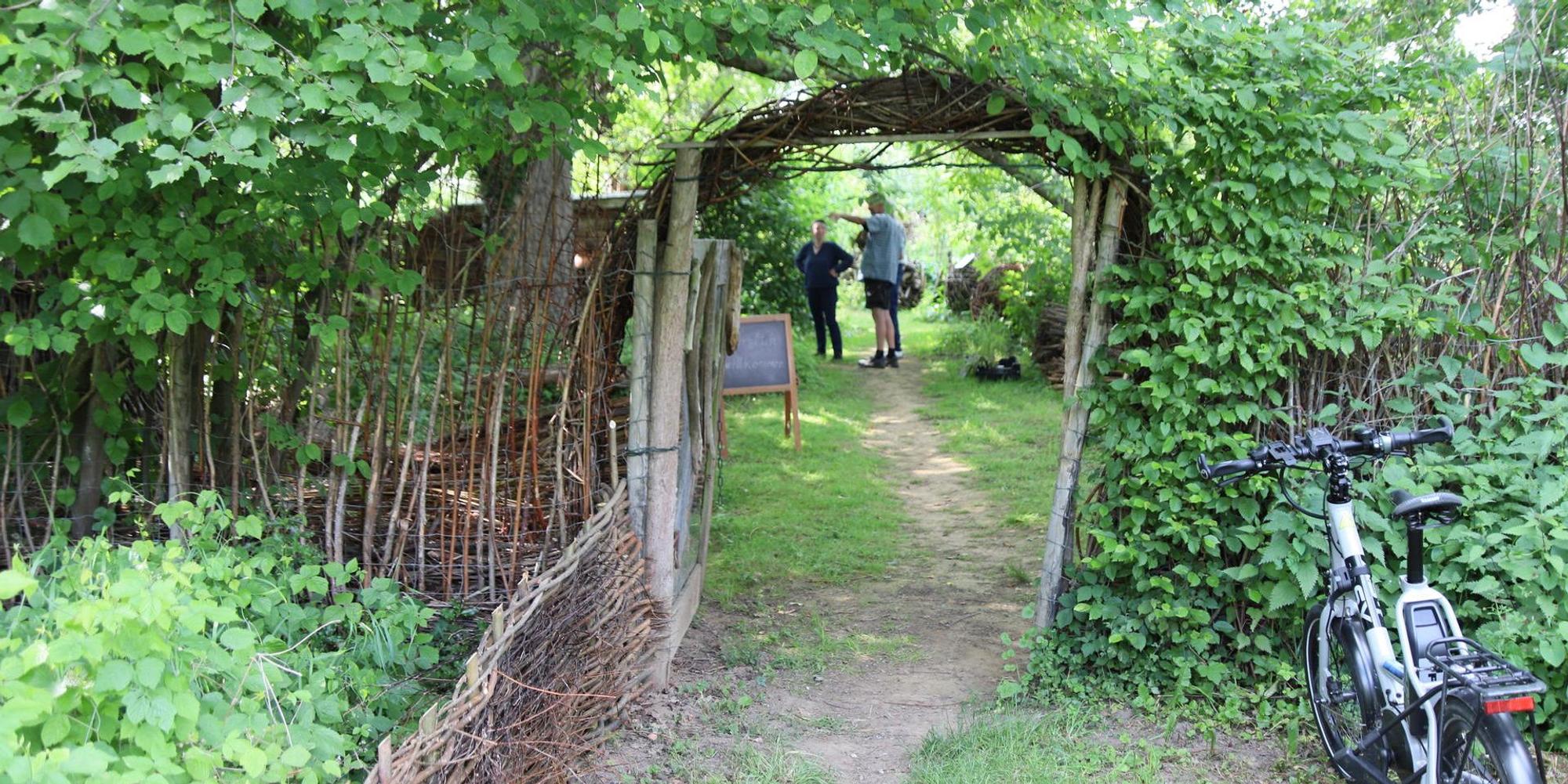 Garten-TRO-Klaßen_4381