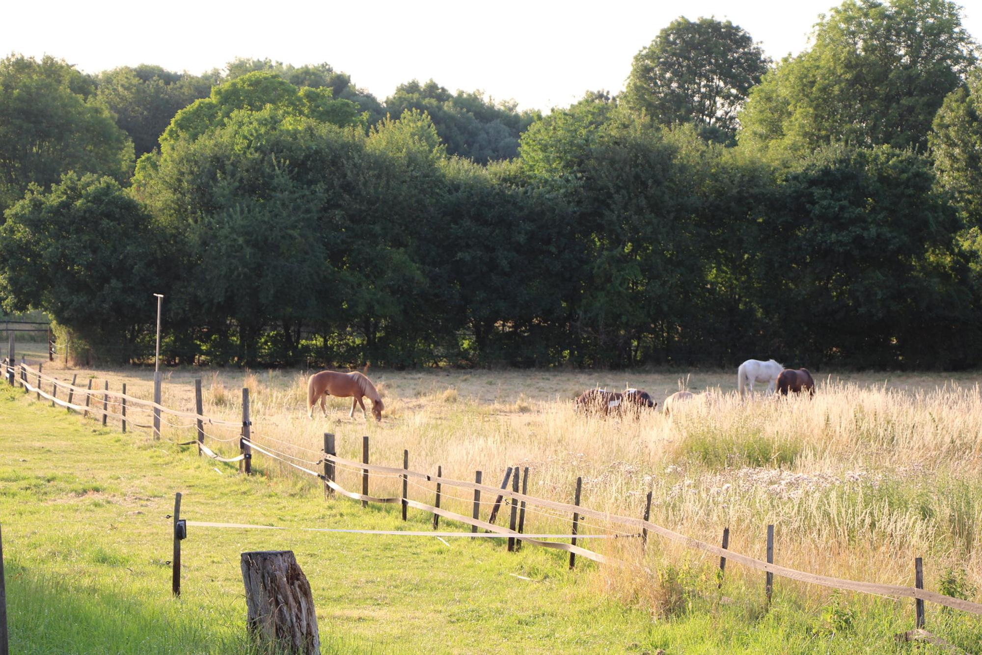 wesseling_ausschuss_notueberlauf2