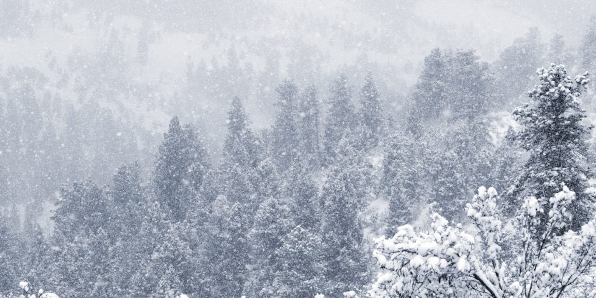 Schnee Colorado