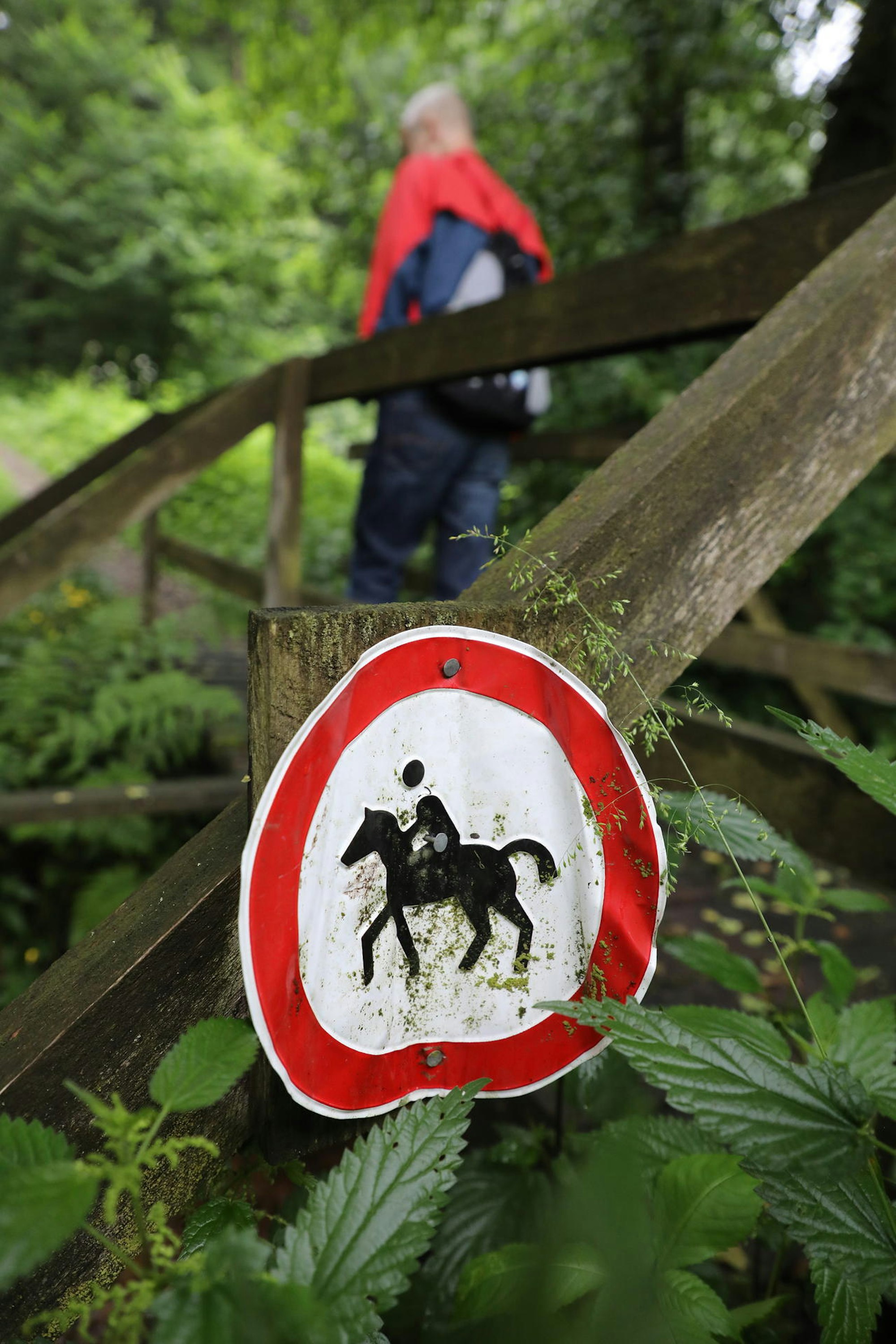 04_Sommertour_Weiden-Altenberg_8515