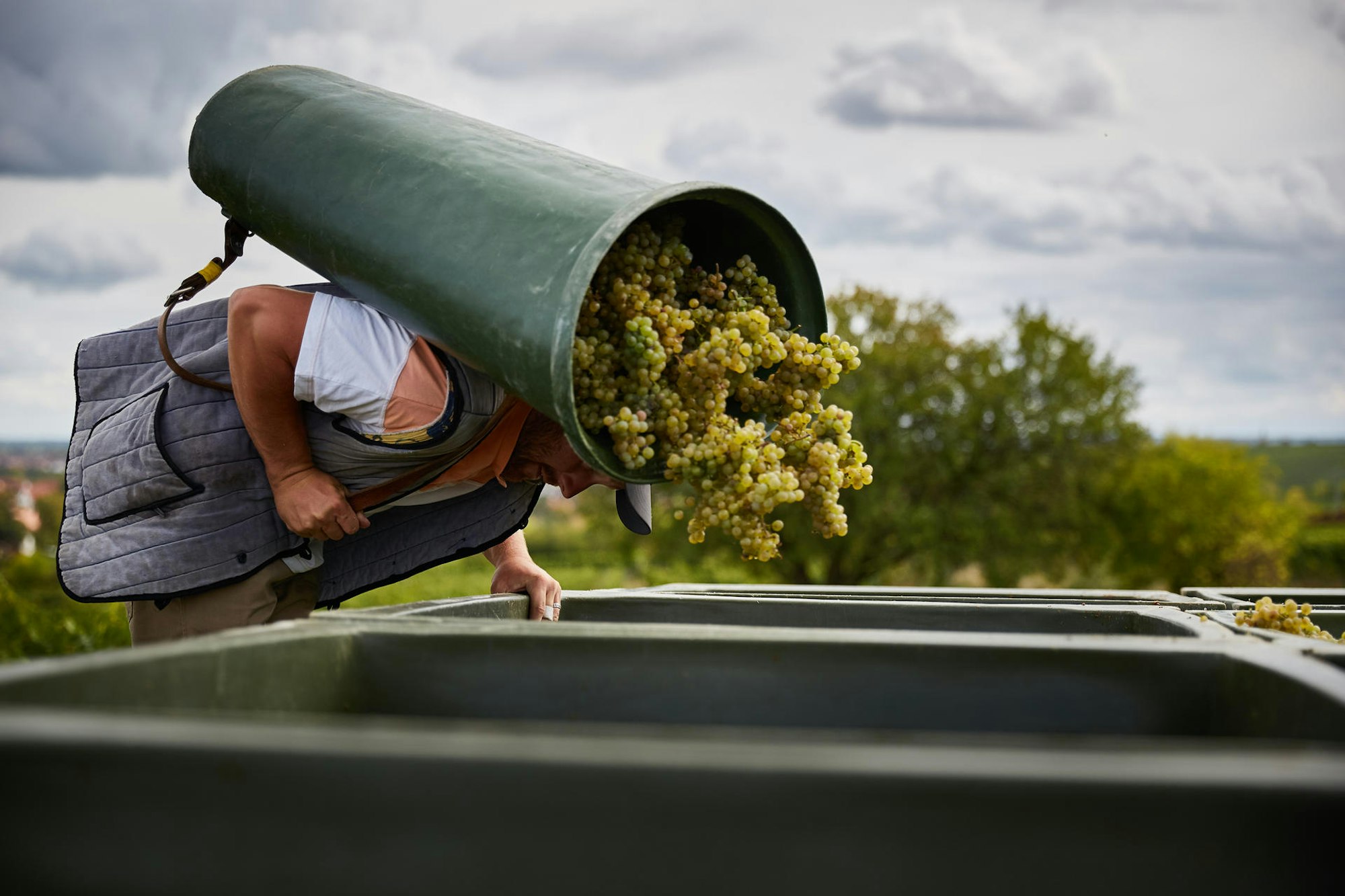 KVP-Biodyn_DrBuerklinWolf_039