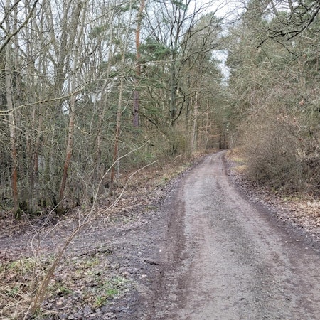 Waldwege Kall