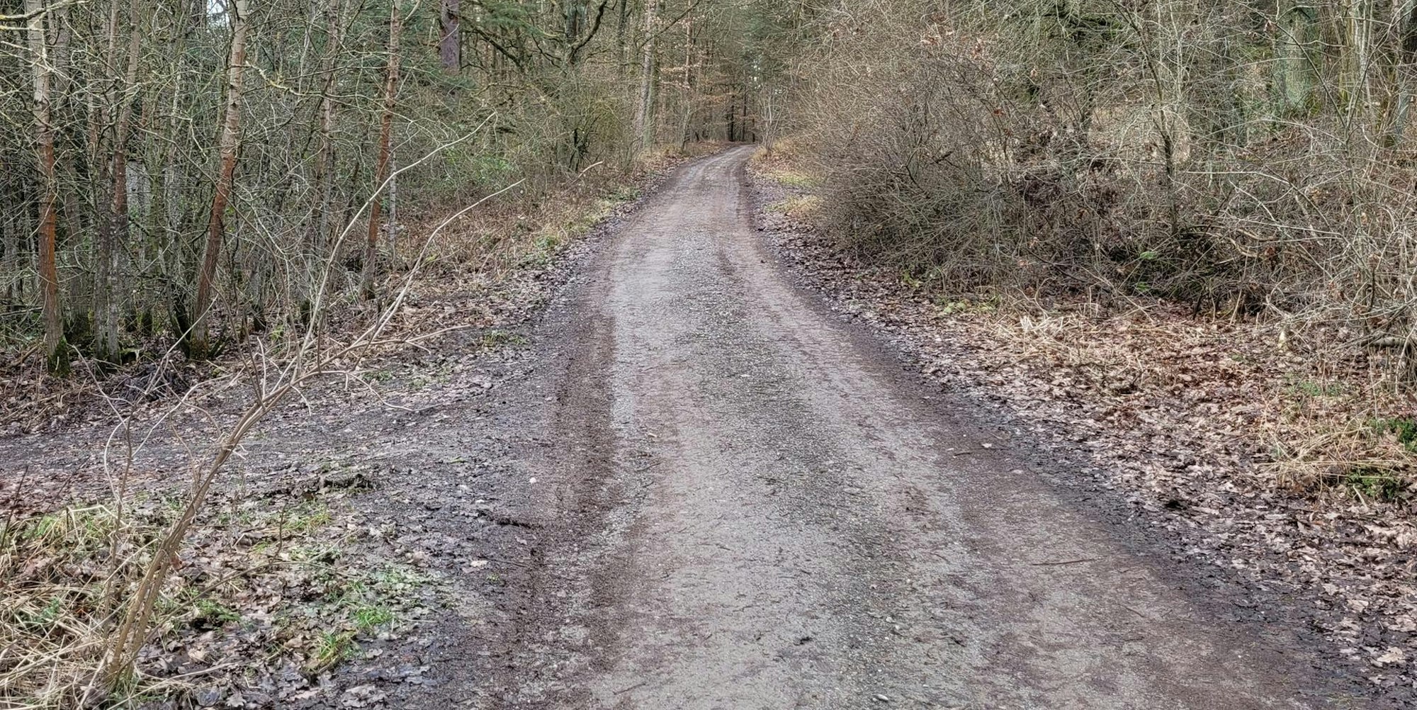 Waldwege Kall