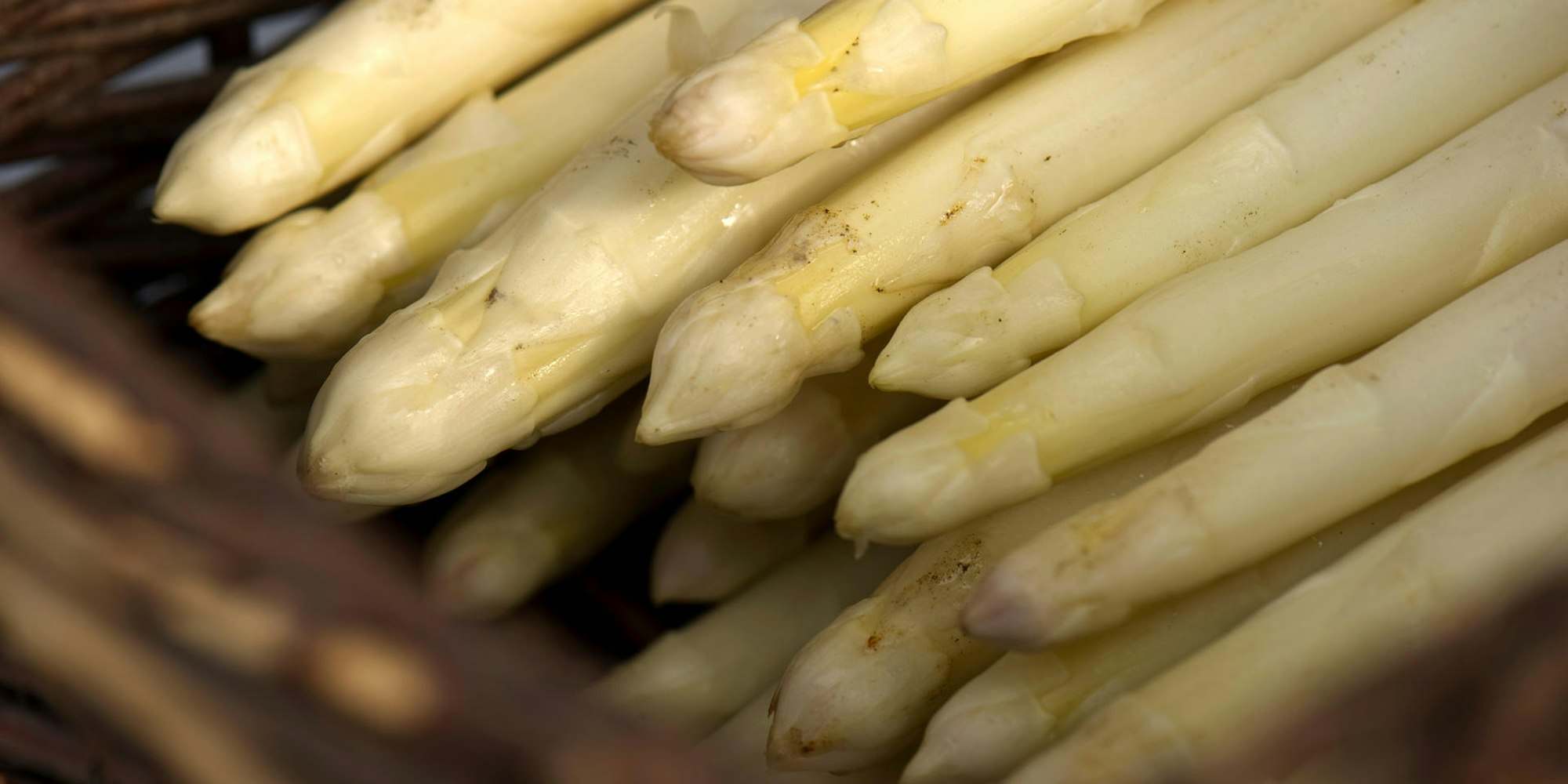 Spargel Teaser