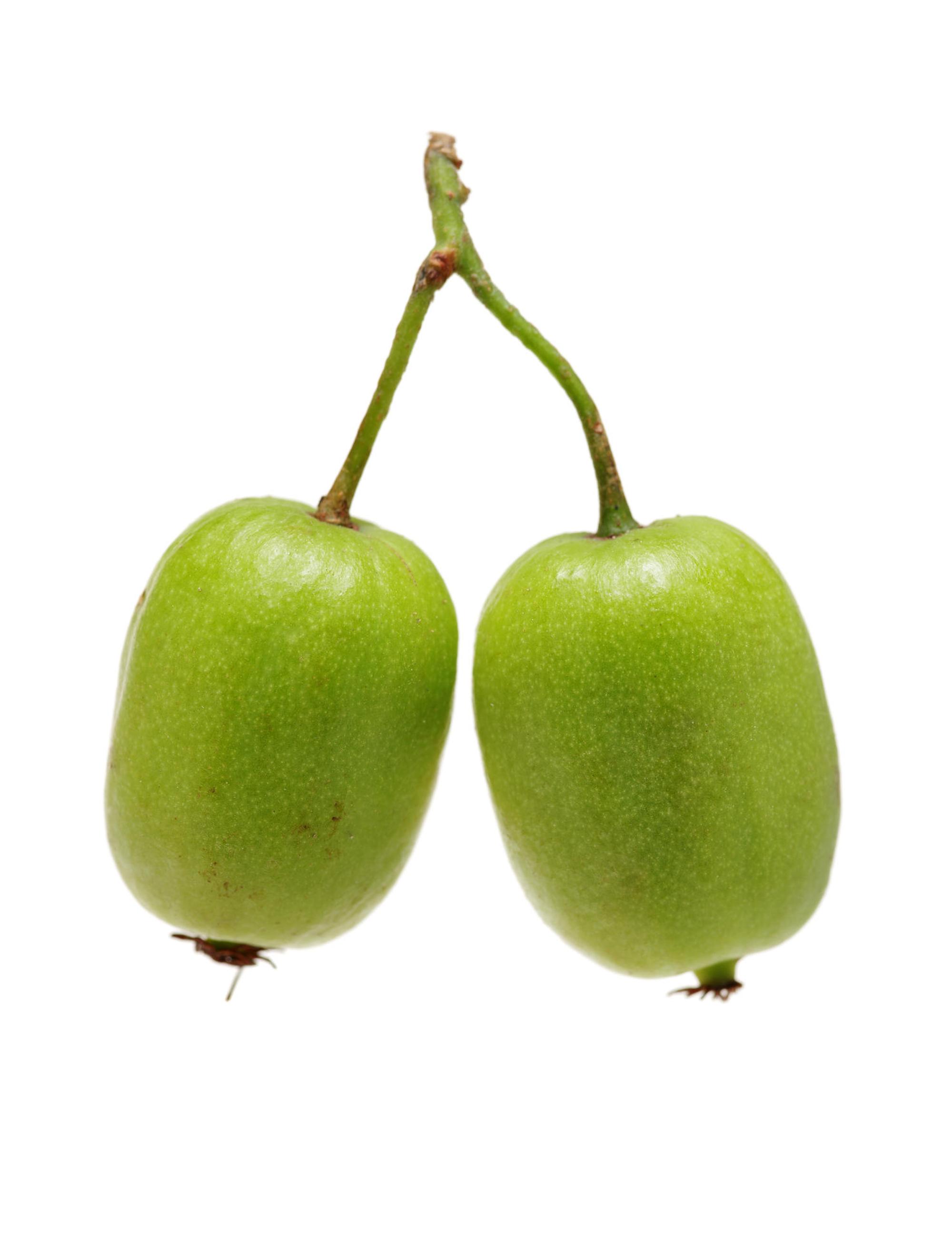 mini kiwi zu