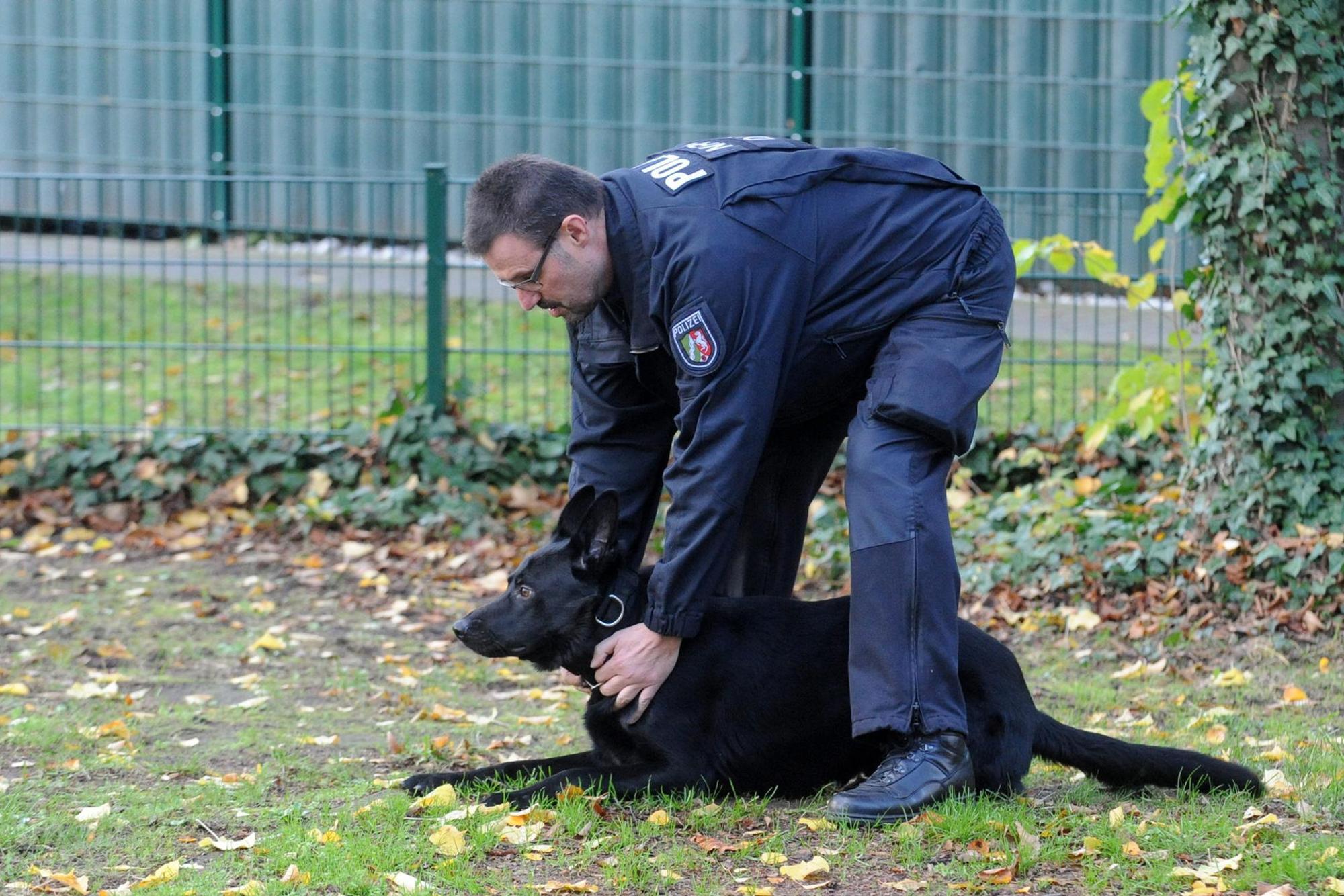 Hund Polizei