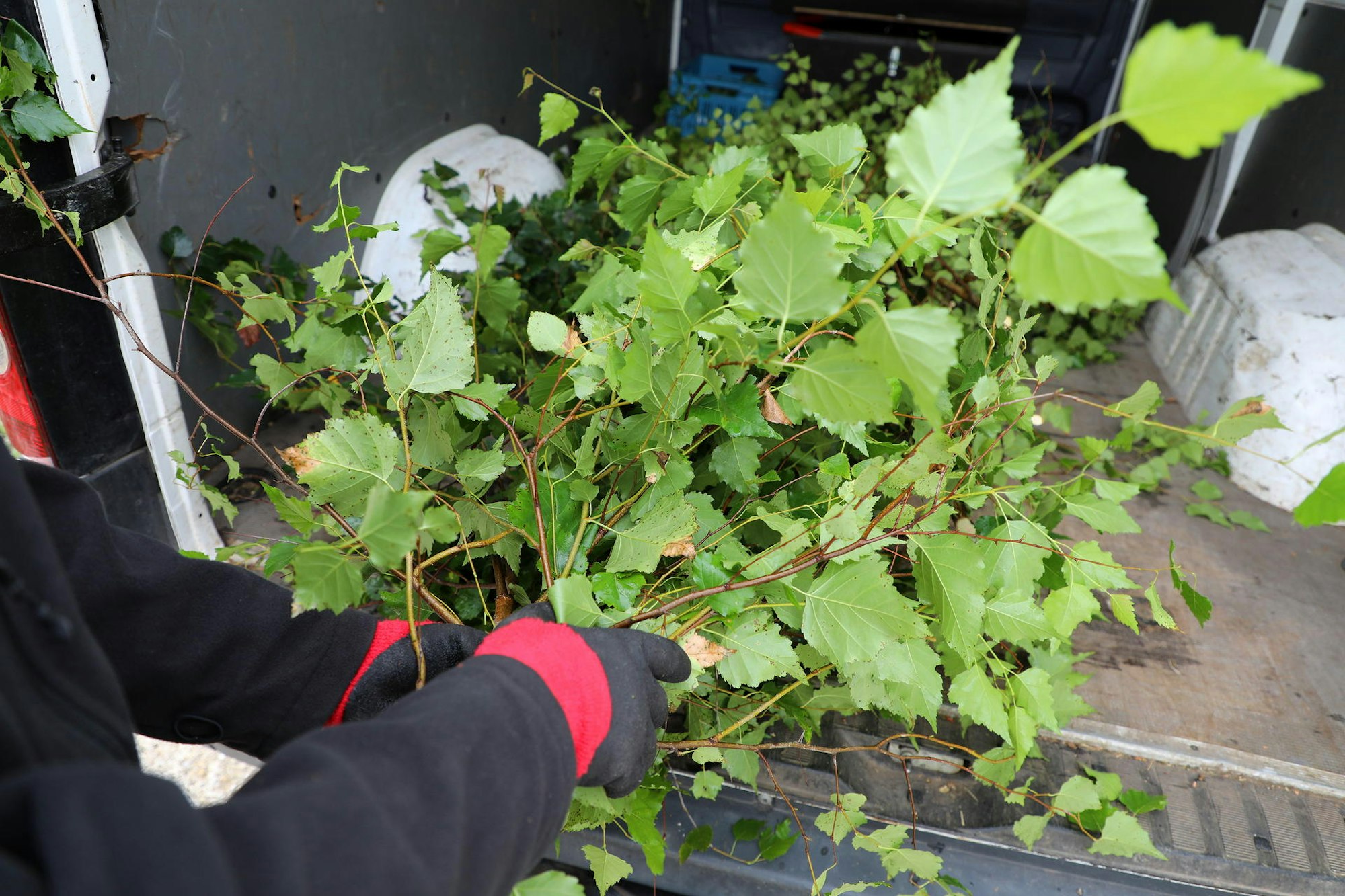 07_Sommertour_Mittagessen Zoo 130821