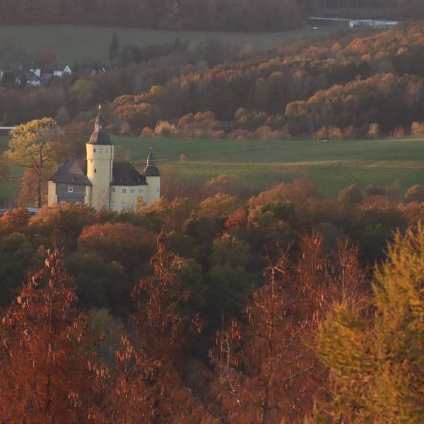 schloss homburg