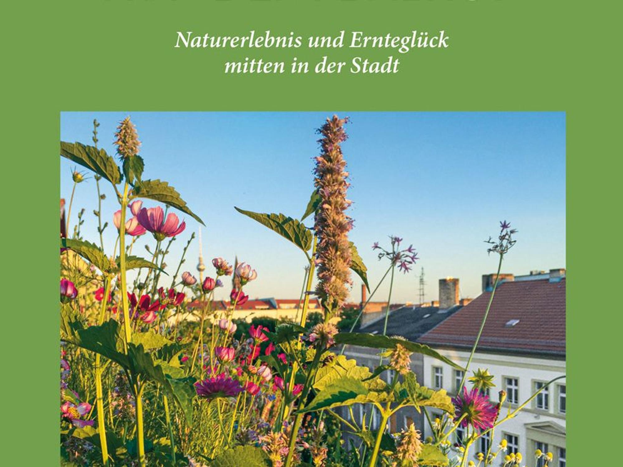 Neuer Inhalt
