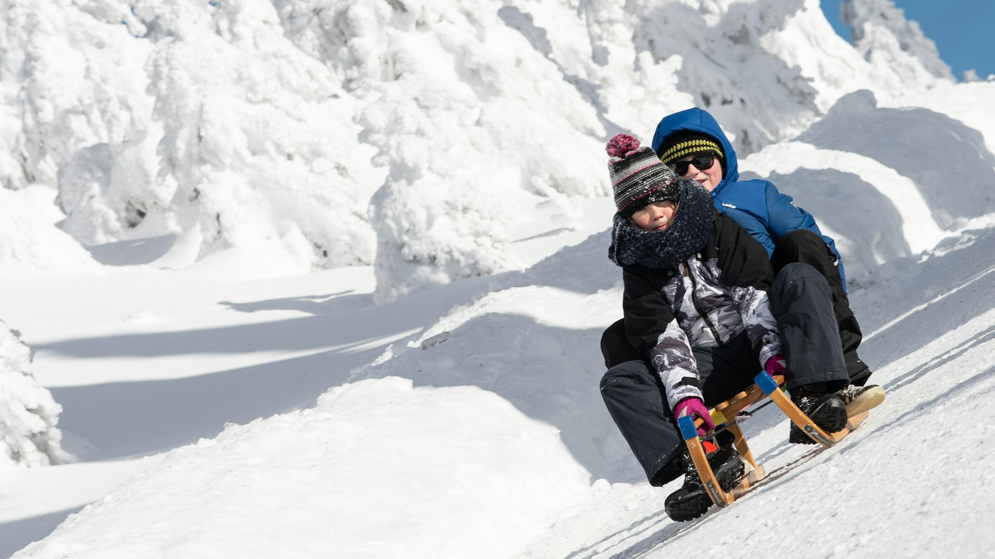 Zwei Menschen fahren mit einem Schlitten einen verschneiten Hang hinab.