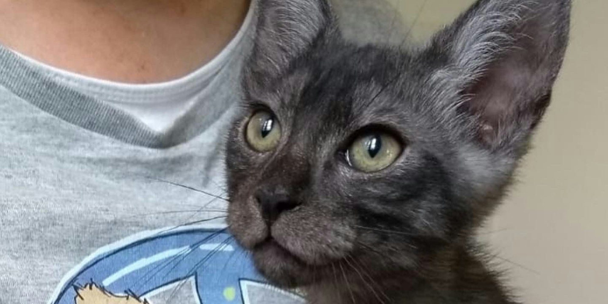 20220718-ber-katze-smokey-1