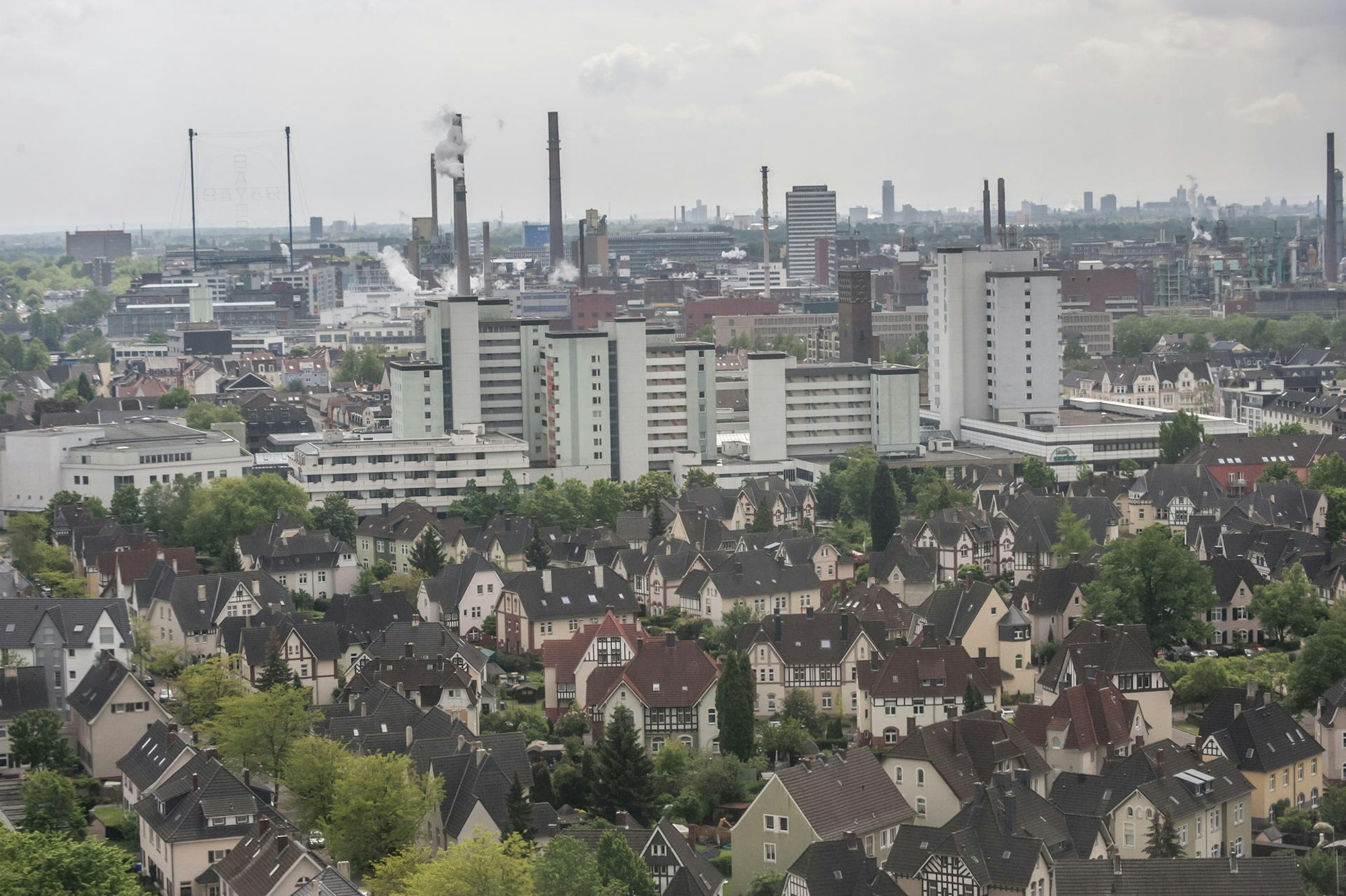 leverkusen-kolonie-city--alf_7302