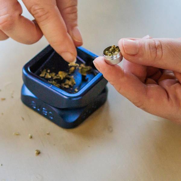 Cannabis Symbolbild