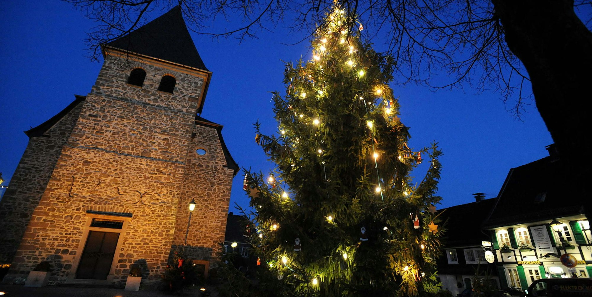 wu-witzhelden-baum_(3)