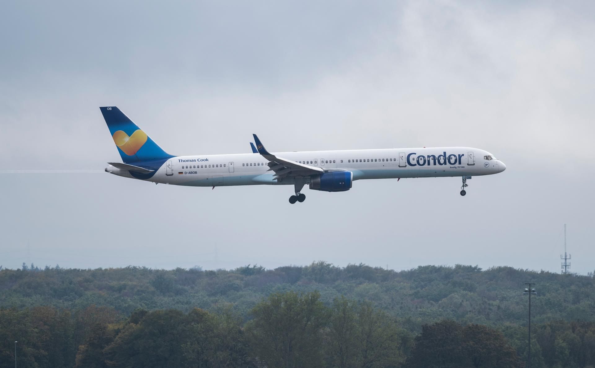 Condor dpa
