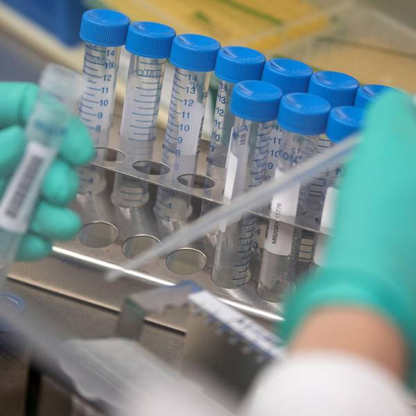 Coronatest (1)