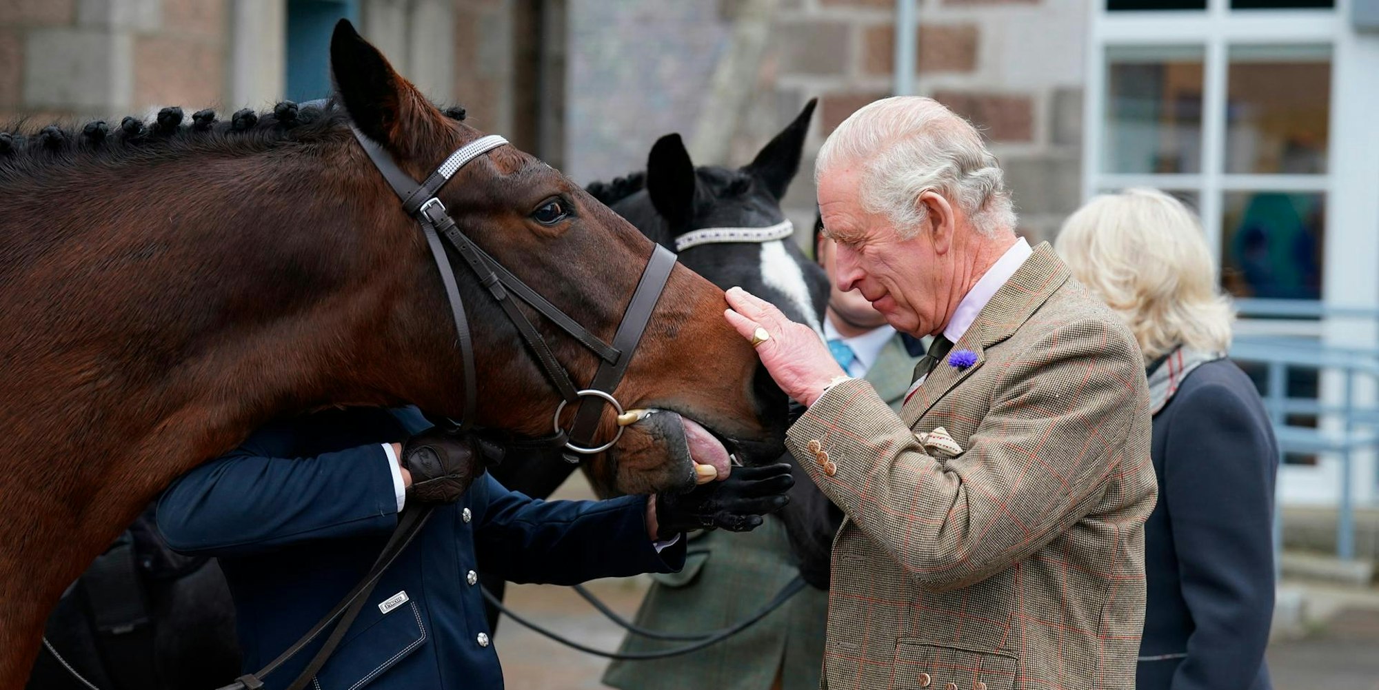 Charles 241022