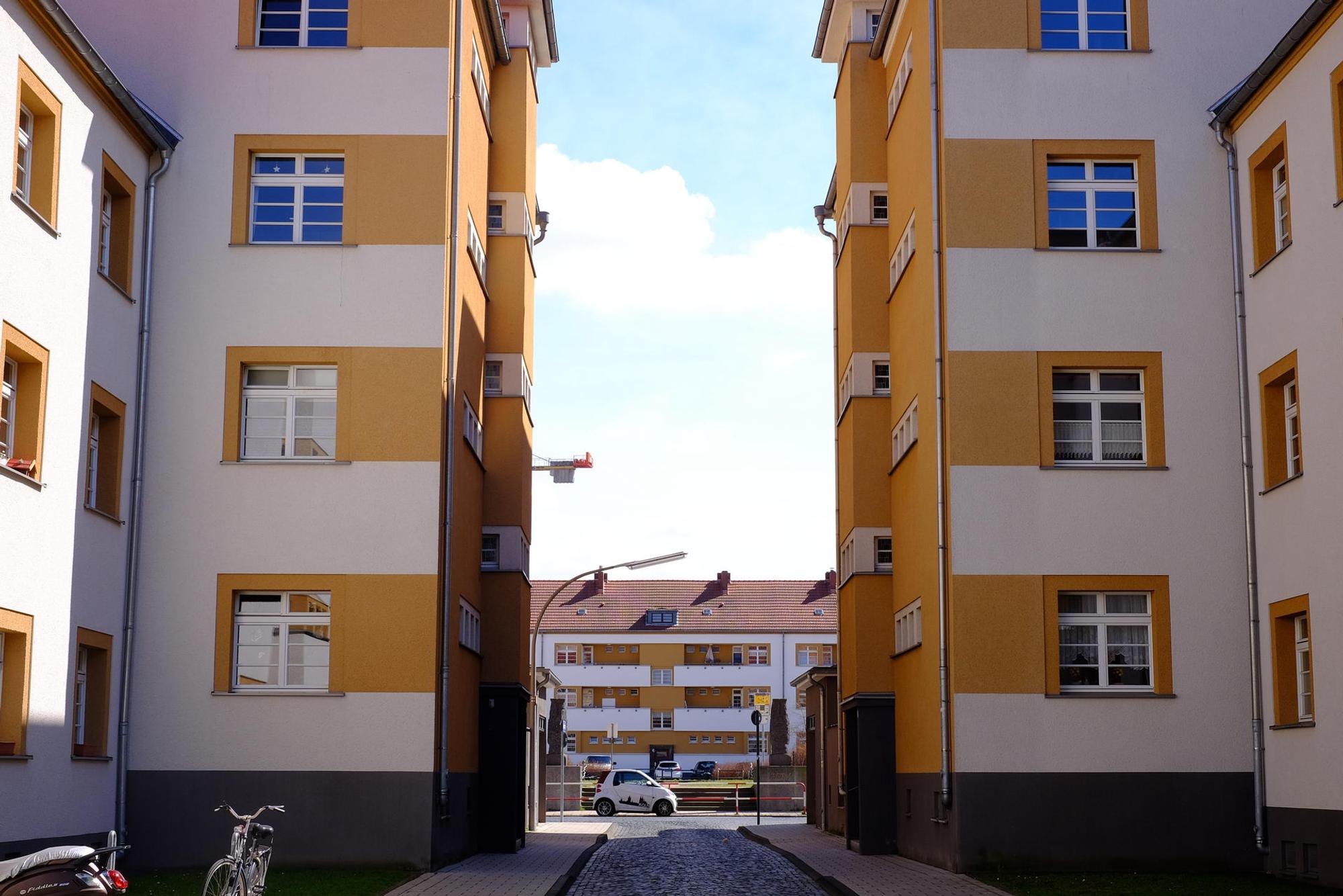 hansen-check-bickendorf (5)
