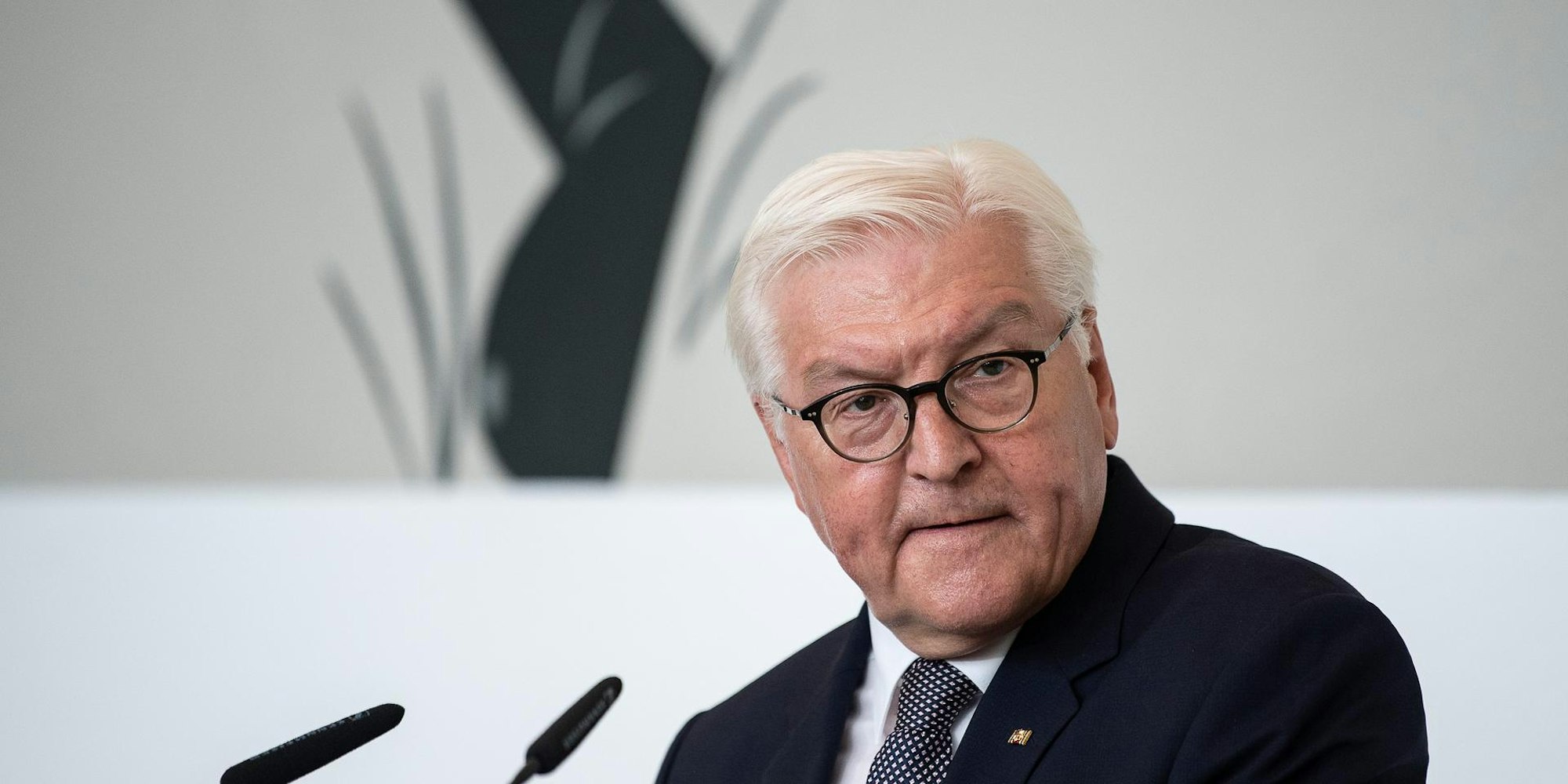 Frank Walter-Steinmeier