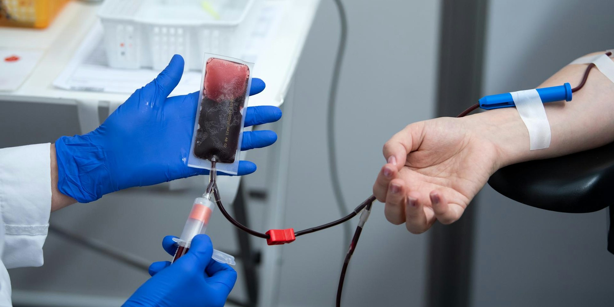 Bonn_Plasma