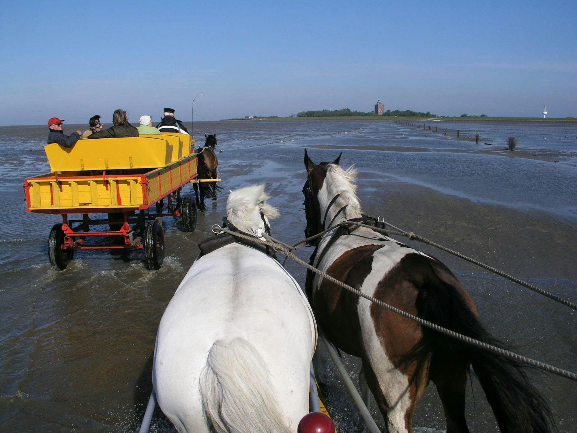 Nordsee-Kutschfahrt-MDS-KR-2020-05-26-mdb54894063_793aa7c420_irprodgera_wvffm