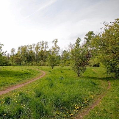 Baugebiet_Ammerstrasse